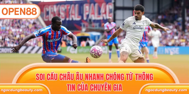 Soi cầu châu Âu nhanh chóng từ thông tin của chuyên gia